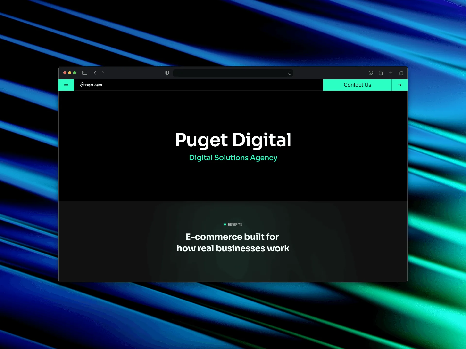 Первый экран сайта Puget Digital
