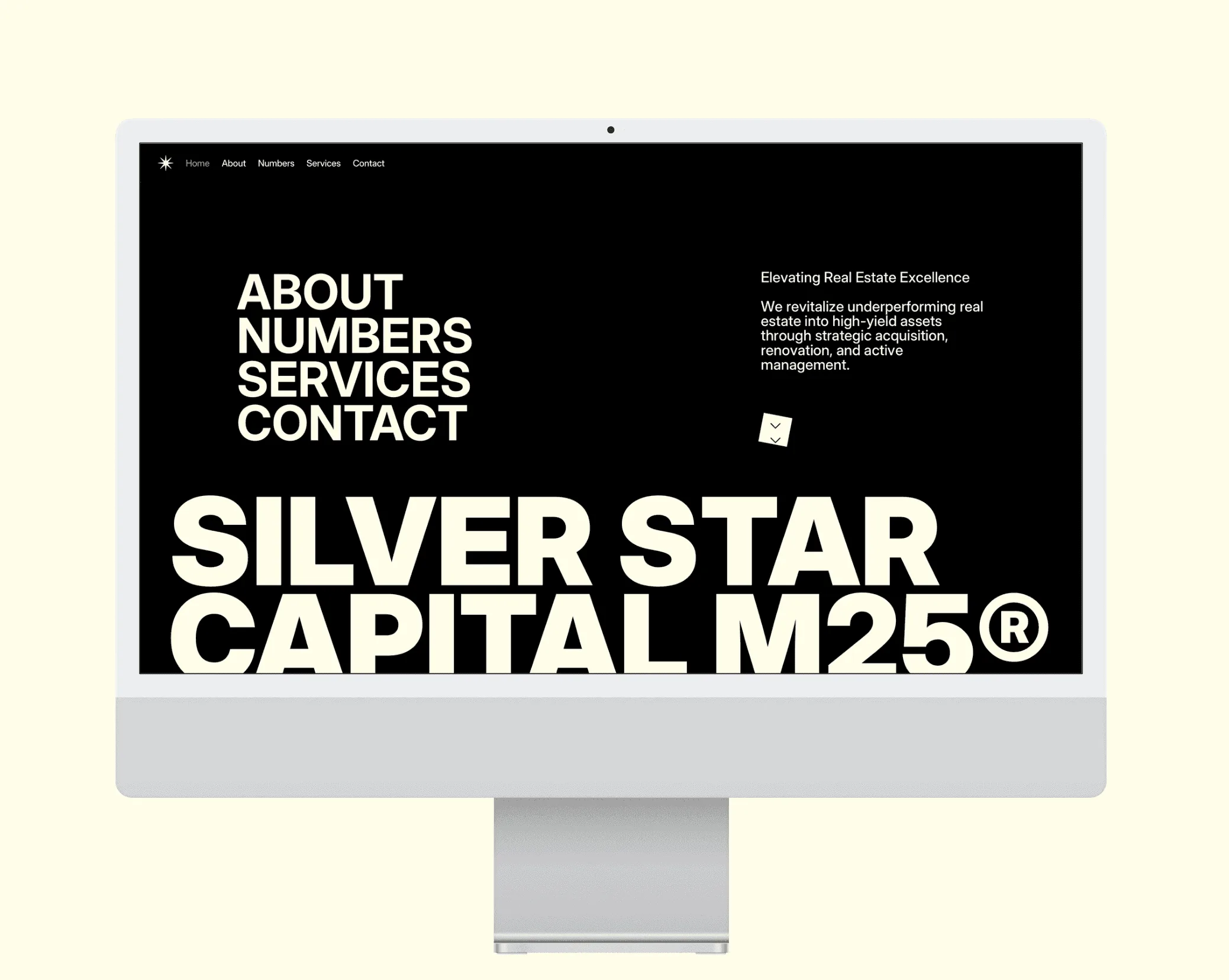 Первый экран Silver Star Capital