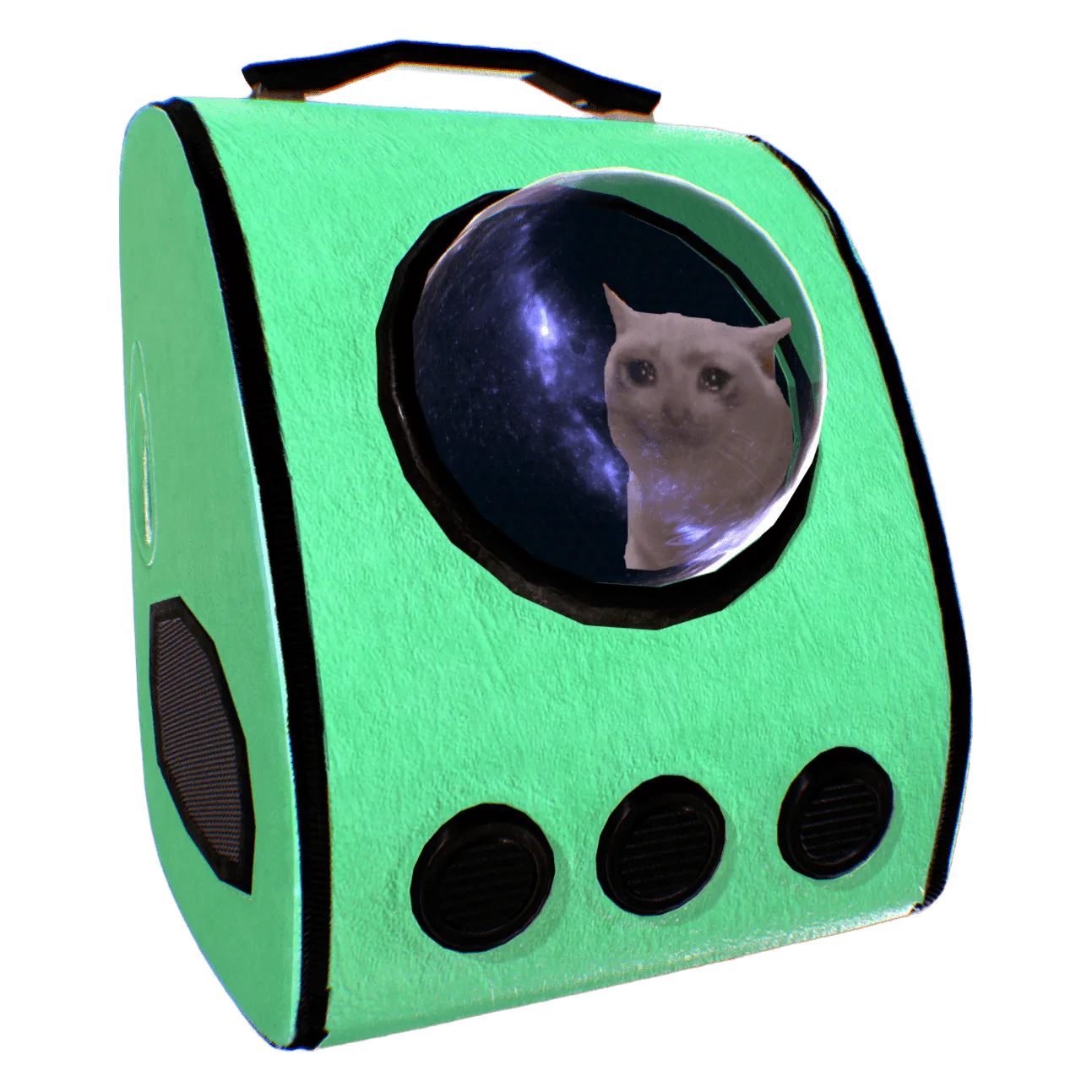 Cat in a space backpack